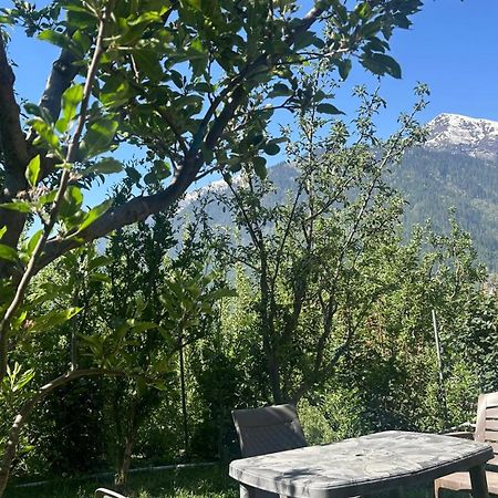 Sunface Homestay Манали Экстерьер фото
