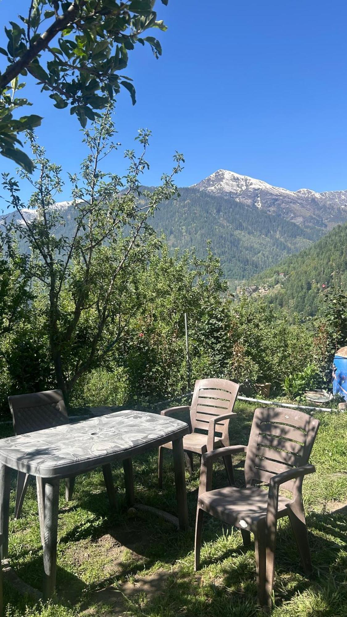 Sunface Homestay Манали Экстерьер фото